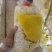 九十天龄桑黄菌袋灵芝棒灵芝菌棒