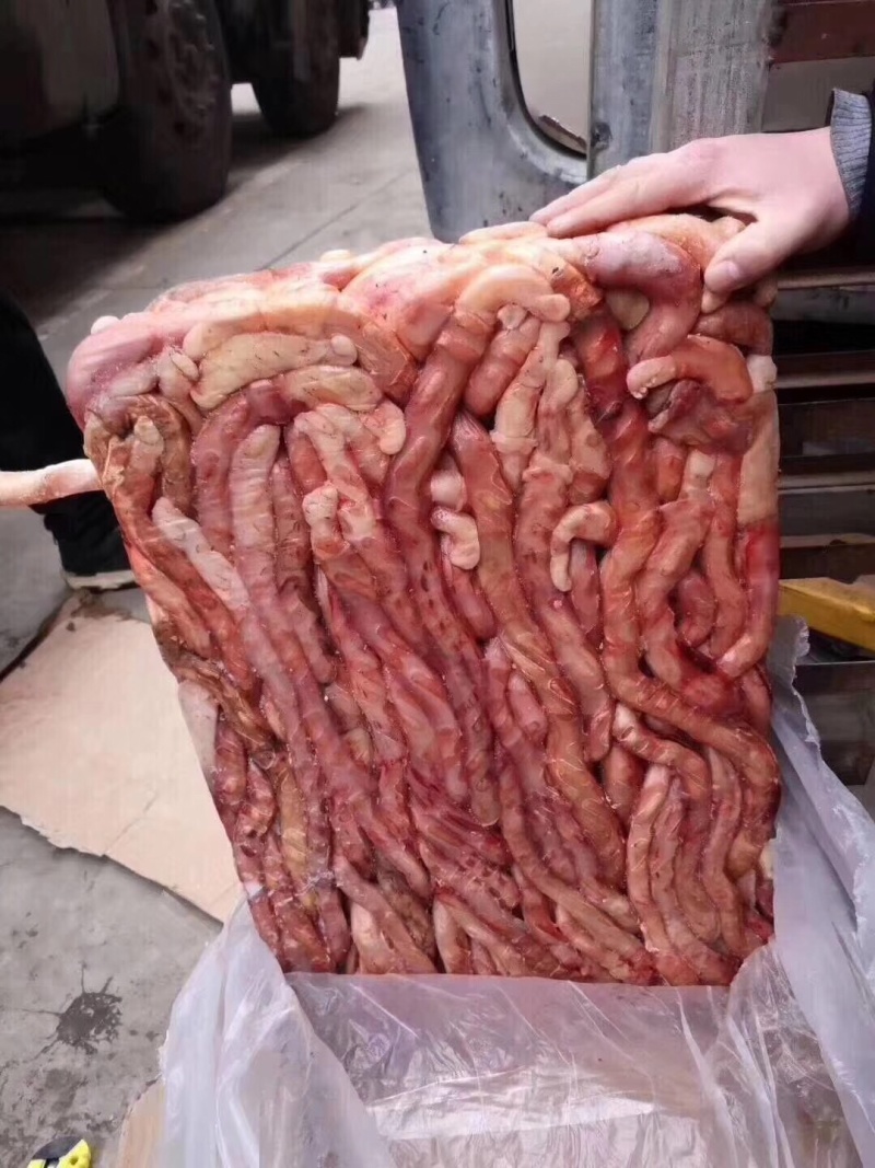 牛鞭