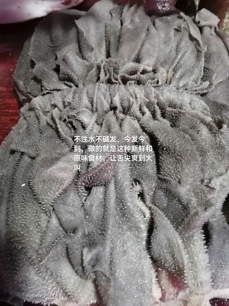 新鮮牛百叶，屠宰场一手货源，饱满，大叶片