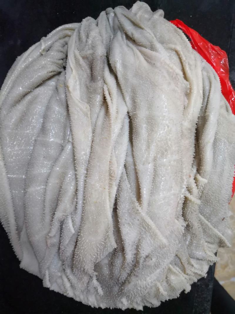 新鮮牛百叶，屠宰场一手货源，饱满，大叶片