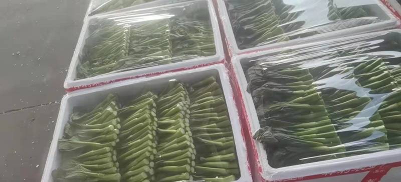 广东菜苔，尖叶菜心，菜地直拱，一箱30斤，28元