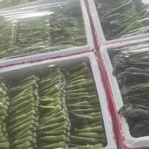广东菜苔，尖叶菜心，菜地直拱，一箱30斤，28元
