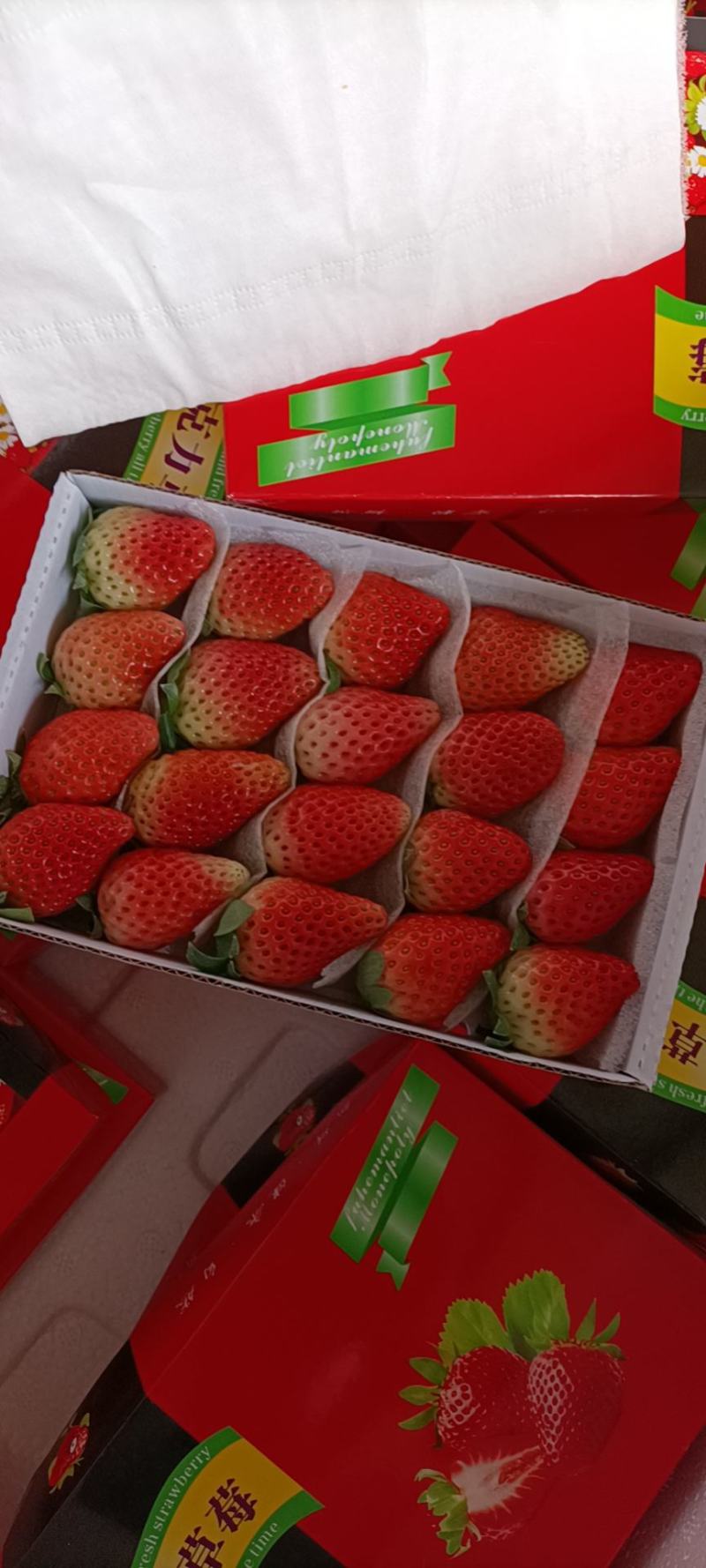 奶油草莓品种多各种包装礼盒对接各大商超