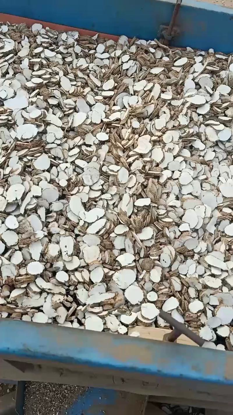白芷产地直销一手货源批发零售量大从优质量保证