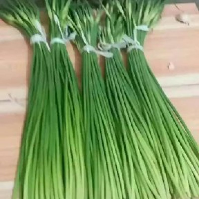 冷库蒜苔，白帽，红帽大量供应，精品货，支持全国代发，