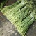 冷库蒜苔，白帽，红帽大量供应，精品货，支持全国代发，