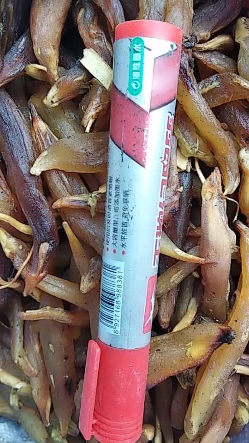 贵州铜仁野生中药材五指天冬生货无硫食品天门冬干货产地直销