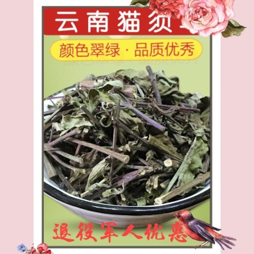 猫须草本店品种齐全种类繁多欢迎合作云南地产货