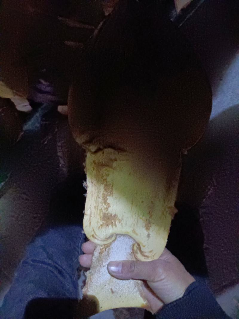云南棕包可批发零售