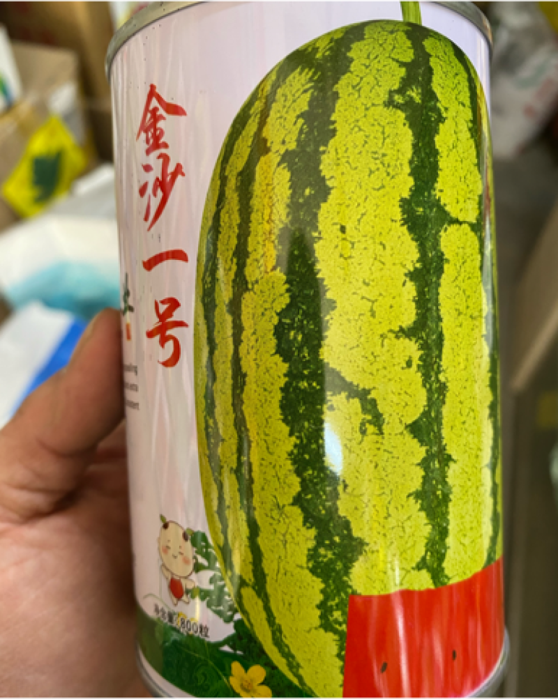 金沙一号耐旱不空心不倒瓤露地西瓜种子大红瓤