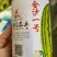 金沙一号耐旱不空心不倒瓤露地西瓜种子大红瓤