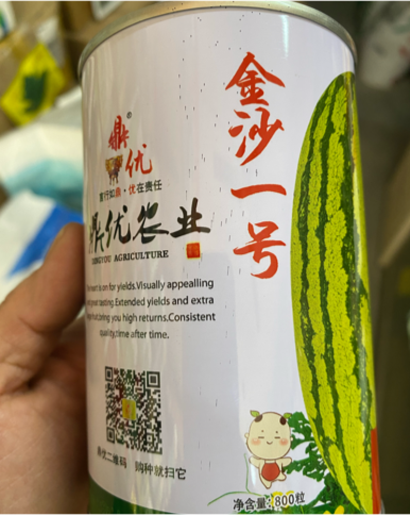 金沙一号耐旱不空心不倒瓤露地西瓜种子大红瓤