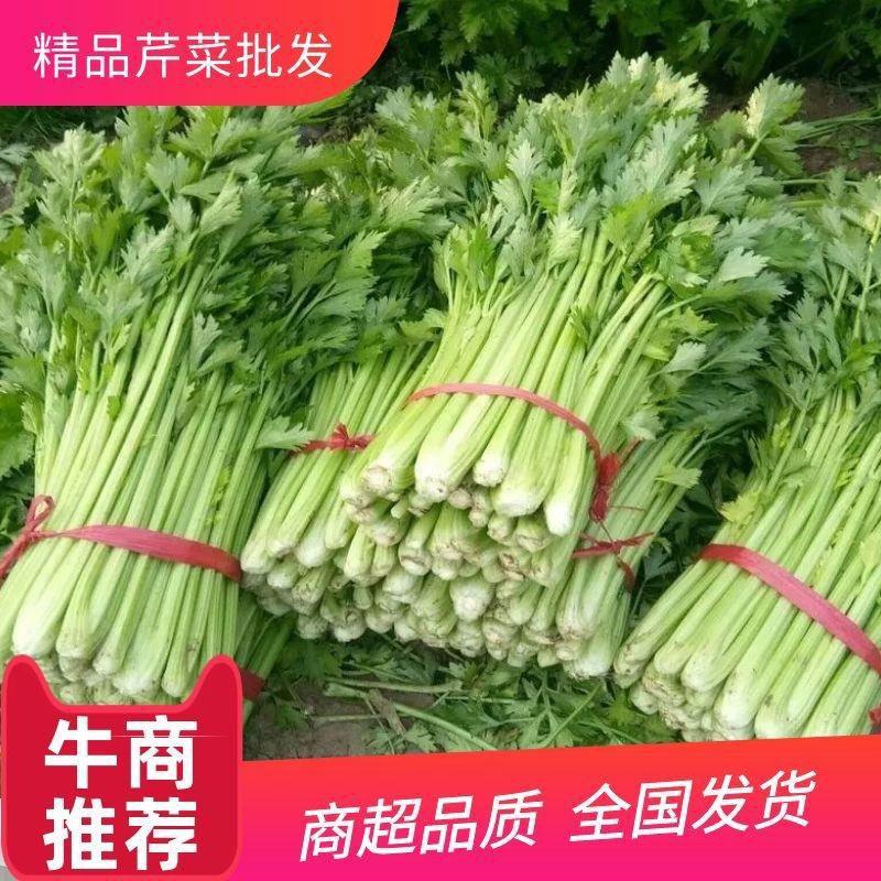 芹菜，精品皇后芹菜量大质，商超专贡，发往全国