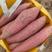 唐山烟薯25烤红薯专用电商社区团产地直发规格齐全