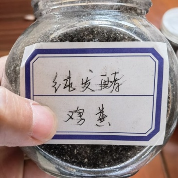 发酵纯鸡粪微生物发酵改善土壤板结肥效持久假一赔十厂家直销