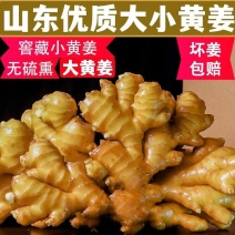生姜大黄姜产地批发【坏烂包赔】保质保量支持全国发货