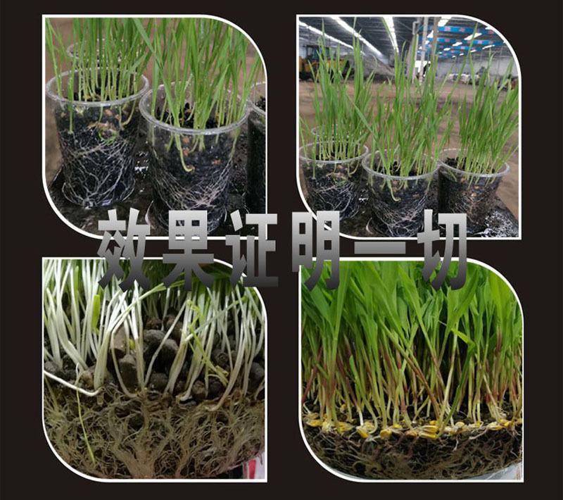 微生物菌肥有机EM菌果树蔬菜生根改良土壤烂根花肥料家用