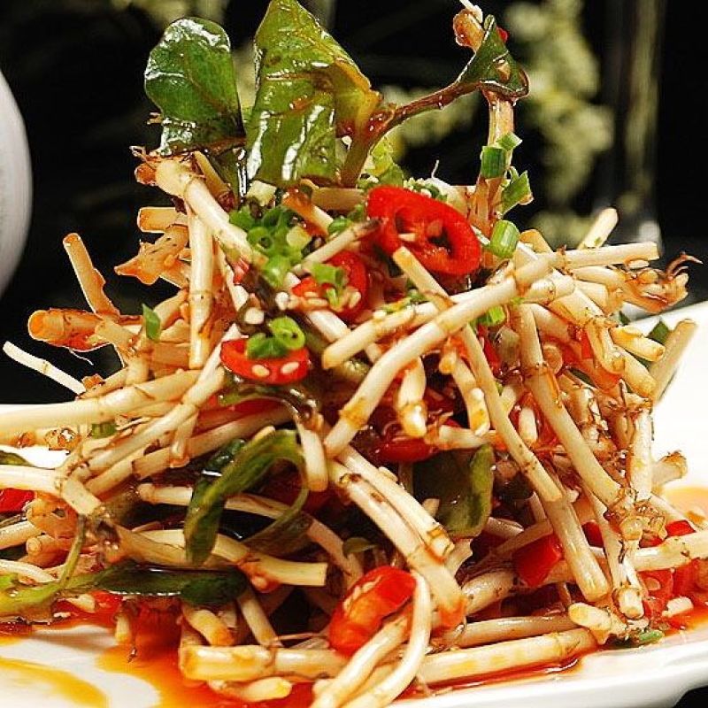 鱼腥草嫩芽，自家种植，特色:香，脆，嫩，土特产，现挖现发