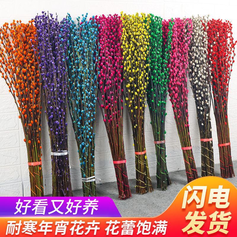 银柳干花真鲜枝花瓶水养客厅装饰摆件福桶红色多彩招财耐寒年
