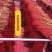银柳干花真鲜枝花瓶水养客厅装饰摆件福桶红色多彩招财耐寒年