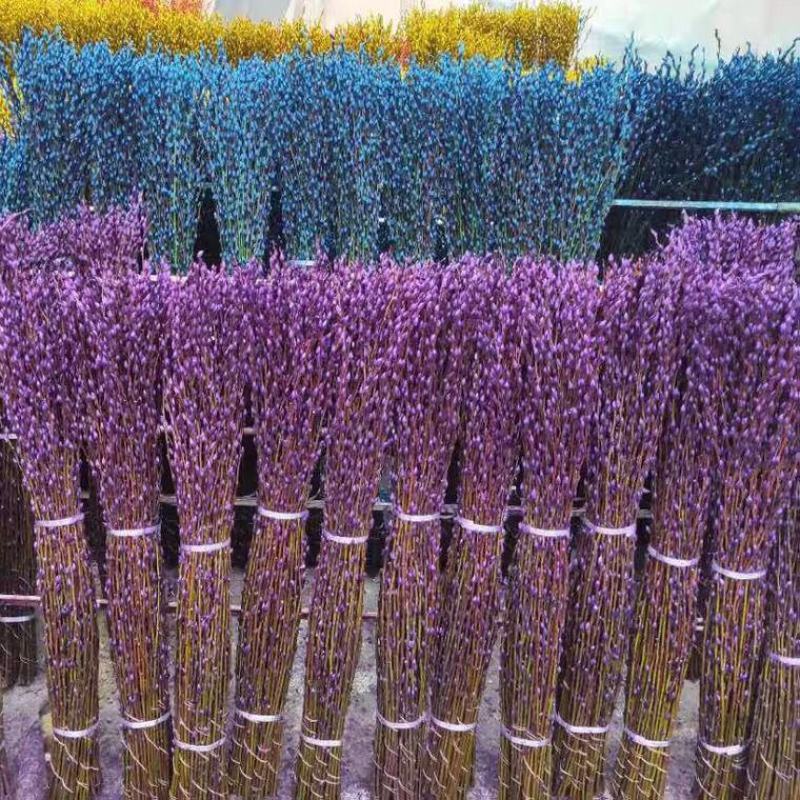 银柳干花真鲜枝花瓶水养客厅装饰摆件福桶红色多彩招财耐寒年