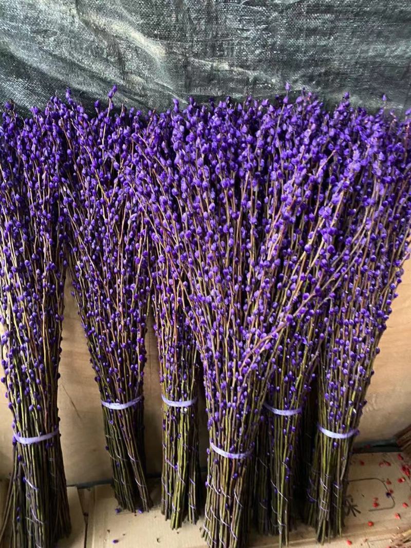 银柳干花真鲜枝花瓶水养客厅装饰摆件福桶红色多彩招财耐寒年
