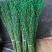 银柳干花真鲜枝花瓶水养客厅装饰摆件福桶红色多彩招财耐寒年