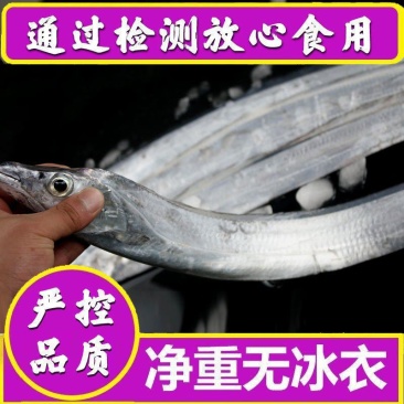 【无冰衣净重】江苏东海舟山小眼带鱼整条新鲜冰鲜海捕海鲜