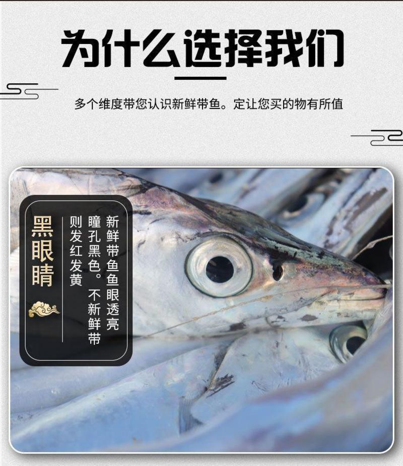 【无冰衣净重】江苏东海舟山小眼带鱼整条新鲜冰鲜海捕海鲜