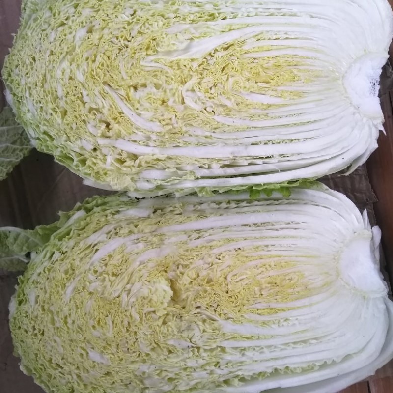 黄心白菜，无空心，无虫眼