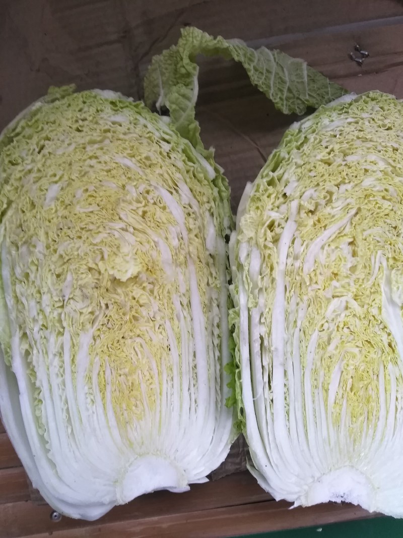 黄心白菜，无空心，无虫眼