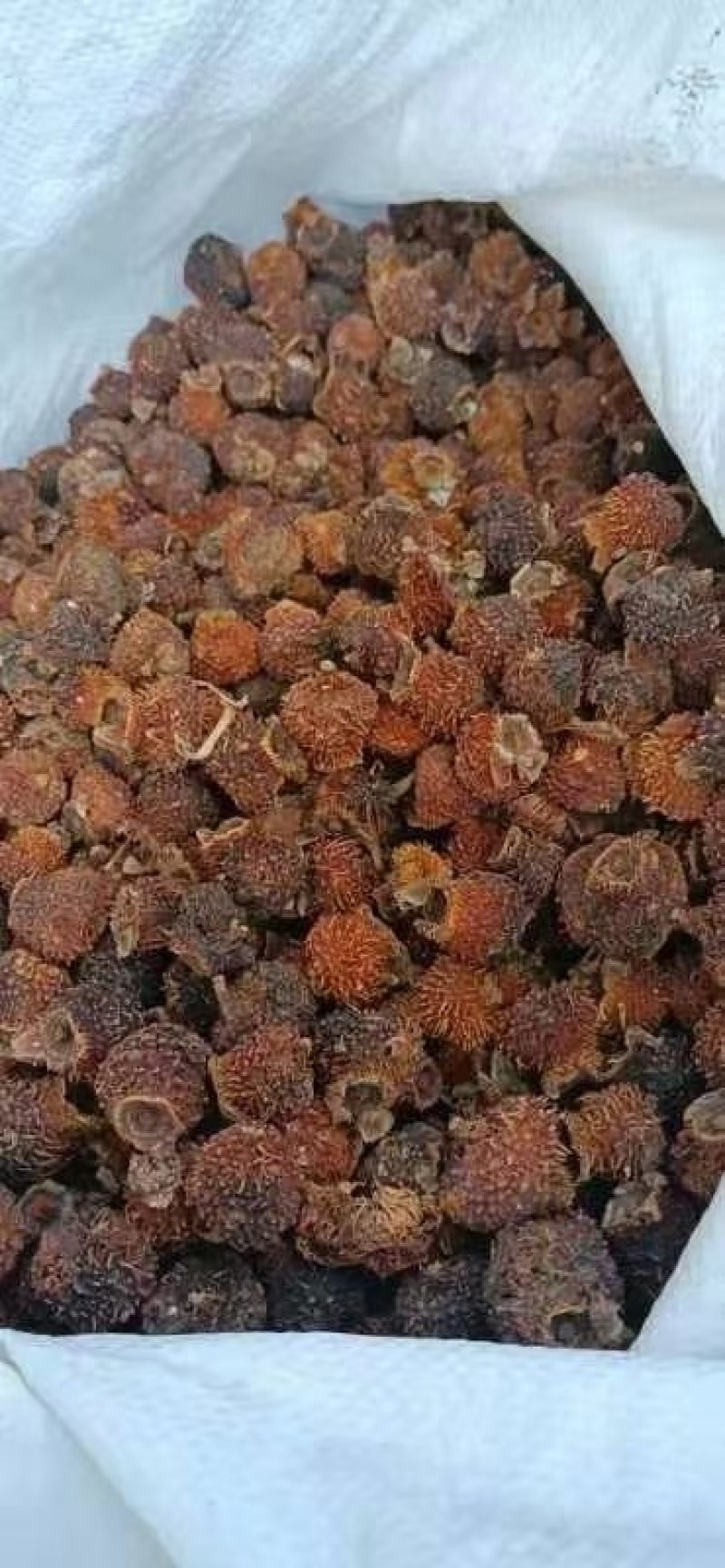 刺梨干果