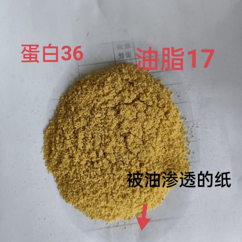 膨化大豆粉高蛋白高油脂