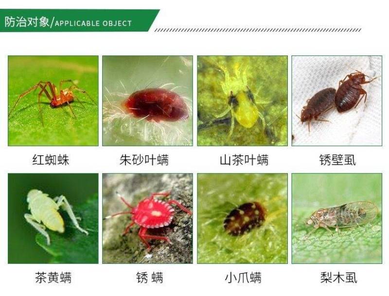 30%乙螨唑悬浮。悬浮剂红蜘蛛杀螨剂杀虫剂。锈壁虱茶黄螨
