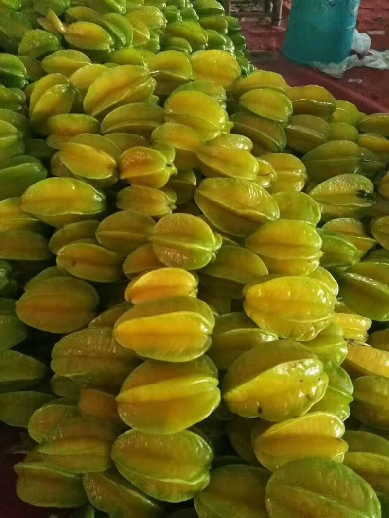 杨桃