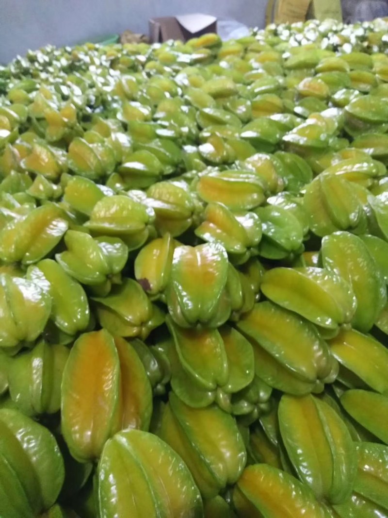 杨桃