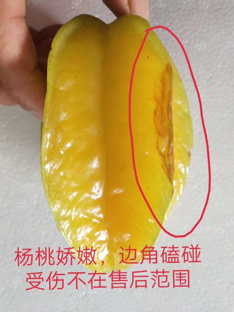 杨桃