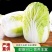 白菜黄心大白菜毛菜净菜散装袋装无虫眼,无烧心。