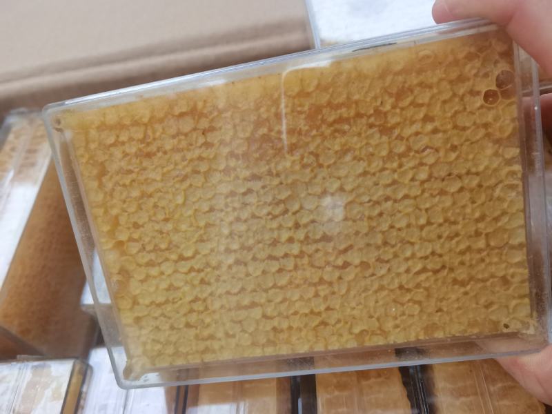 蜂巢蜜，跑江湖展销会赶集地摊，一手批发，量大从优