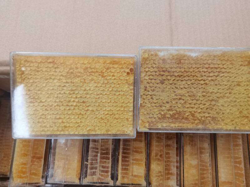 蜂巢蜜，跑江湖展销会赶集地摊，一手批发，量大从优
