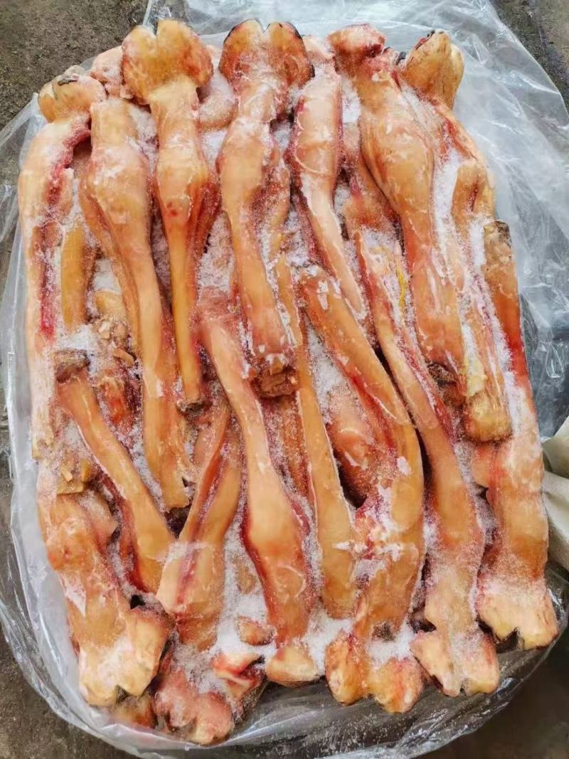驴蹄筋马蹄筋精品驴蹄筋纯主筋颜色鲜质量好出肉率高