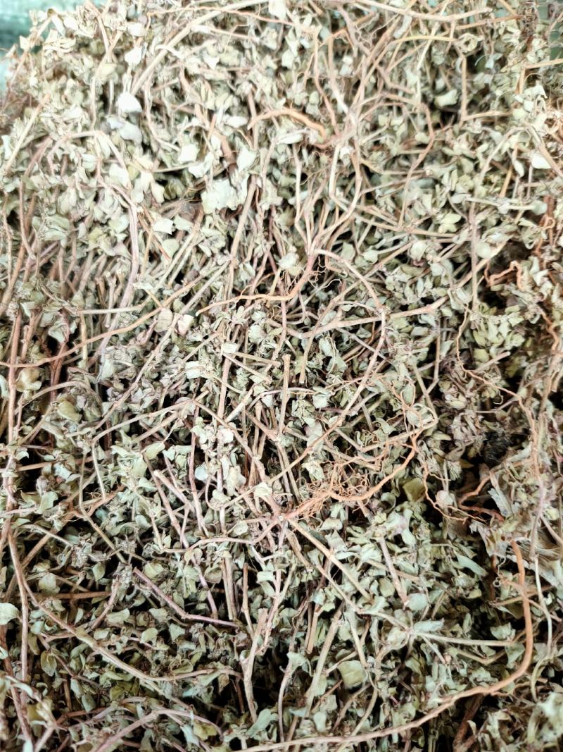中药材铁线草天然纯新货铁线草