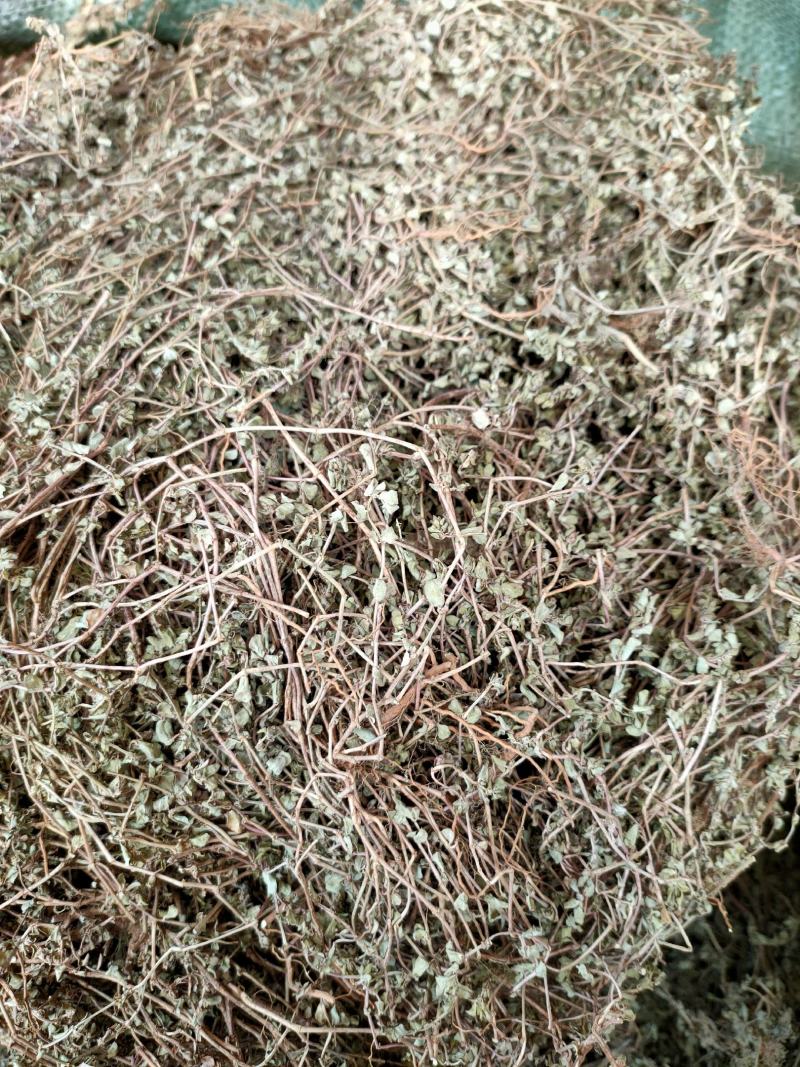 中药材铁线草天然纯新货铁线草