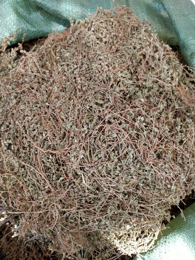 中药材铁线草天然纯新货铁线草