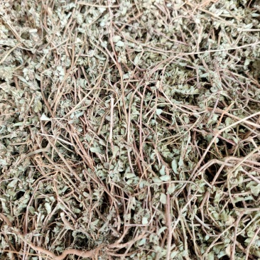 中药材铁线草天然纯新货铁线草