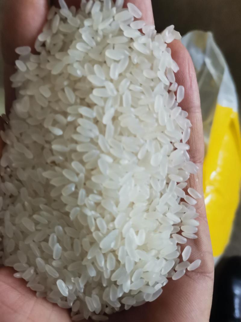 东北富硒大米长粒香米东北香米2023新米一件代发包邮