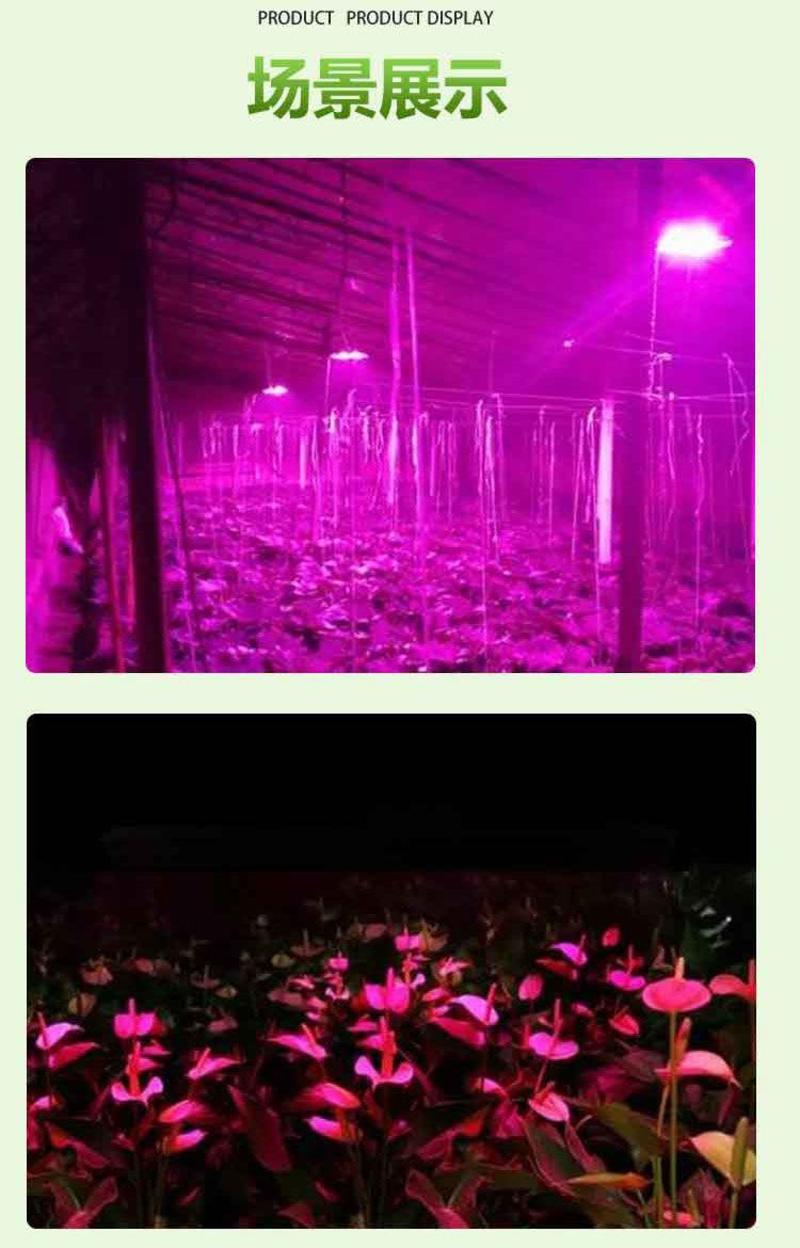 温室大棚作物生长补光灯！增强作物免疫，抗病增产，提高品质