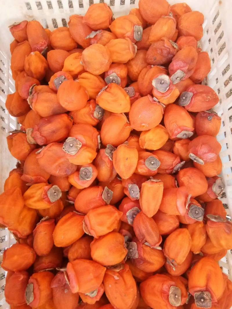 精品红饼