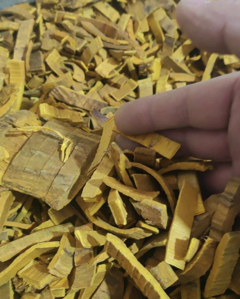 黄柏带皮干货黄柏川黄柏干货量大从优