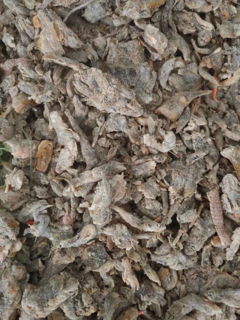 现有一手货源鱼干，干度好，纯度高，盐分低，蛋白高